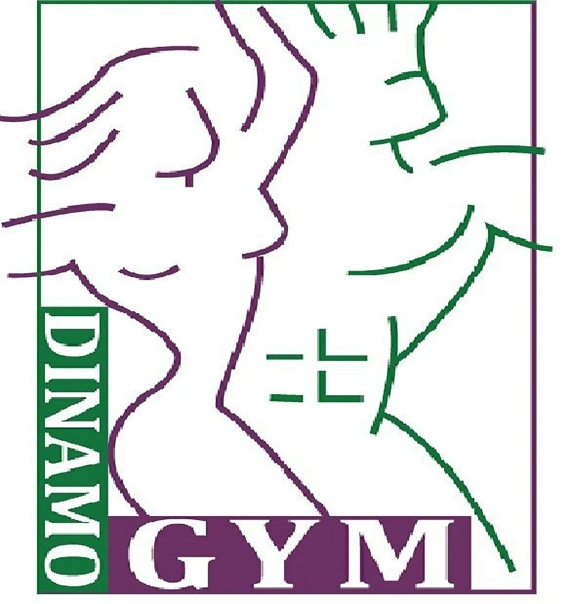 Gimnasio Dinamo GYM-2014