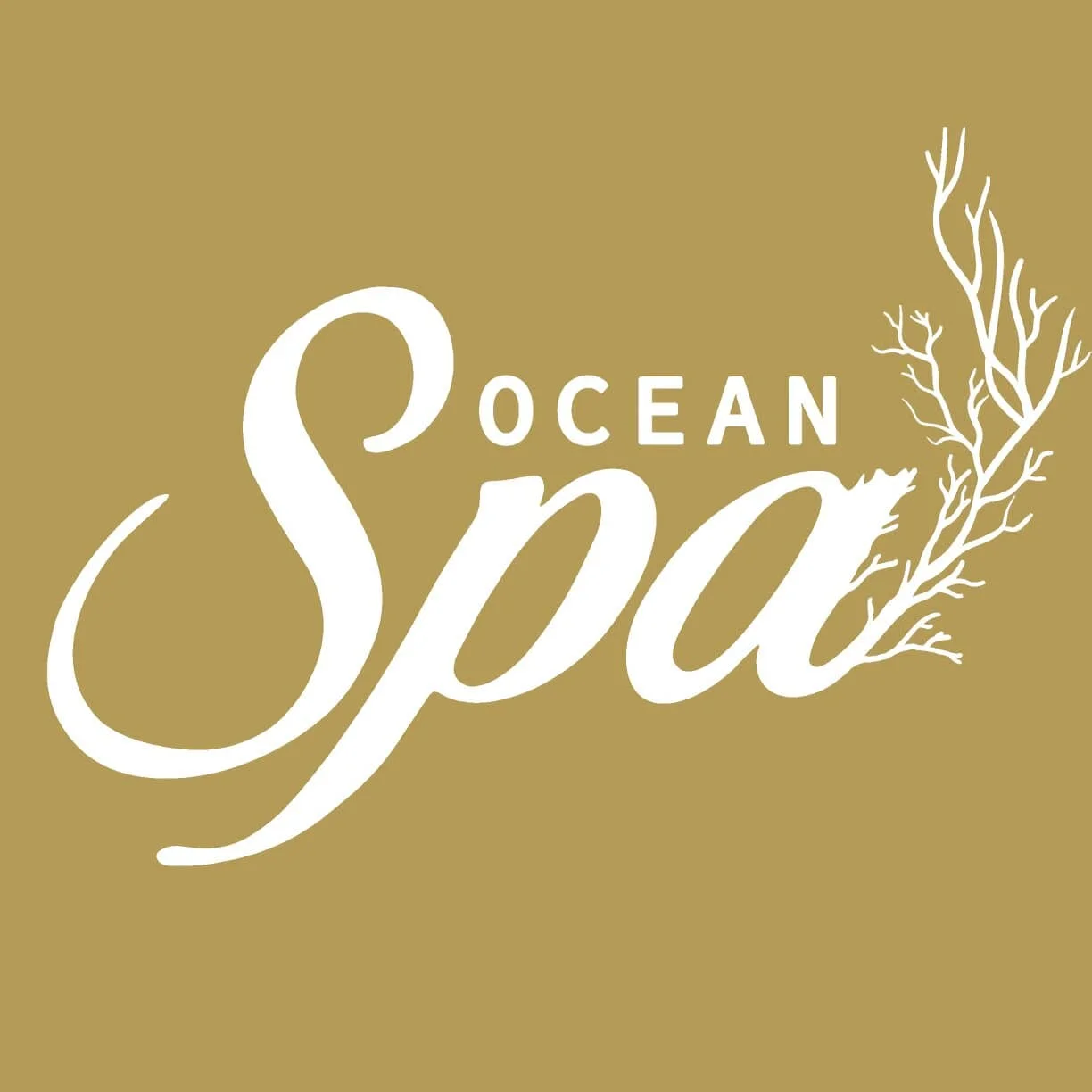 Spa-ocean-spa-cartagena-spa-radisson-cartagena-10811