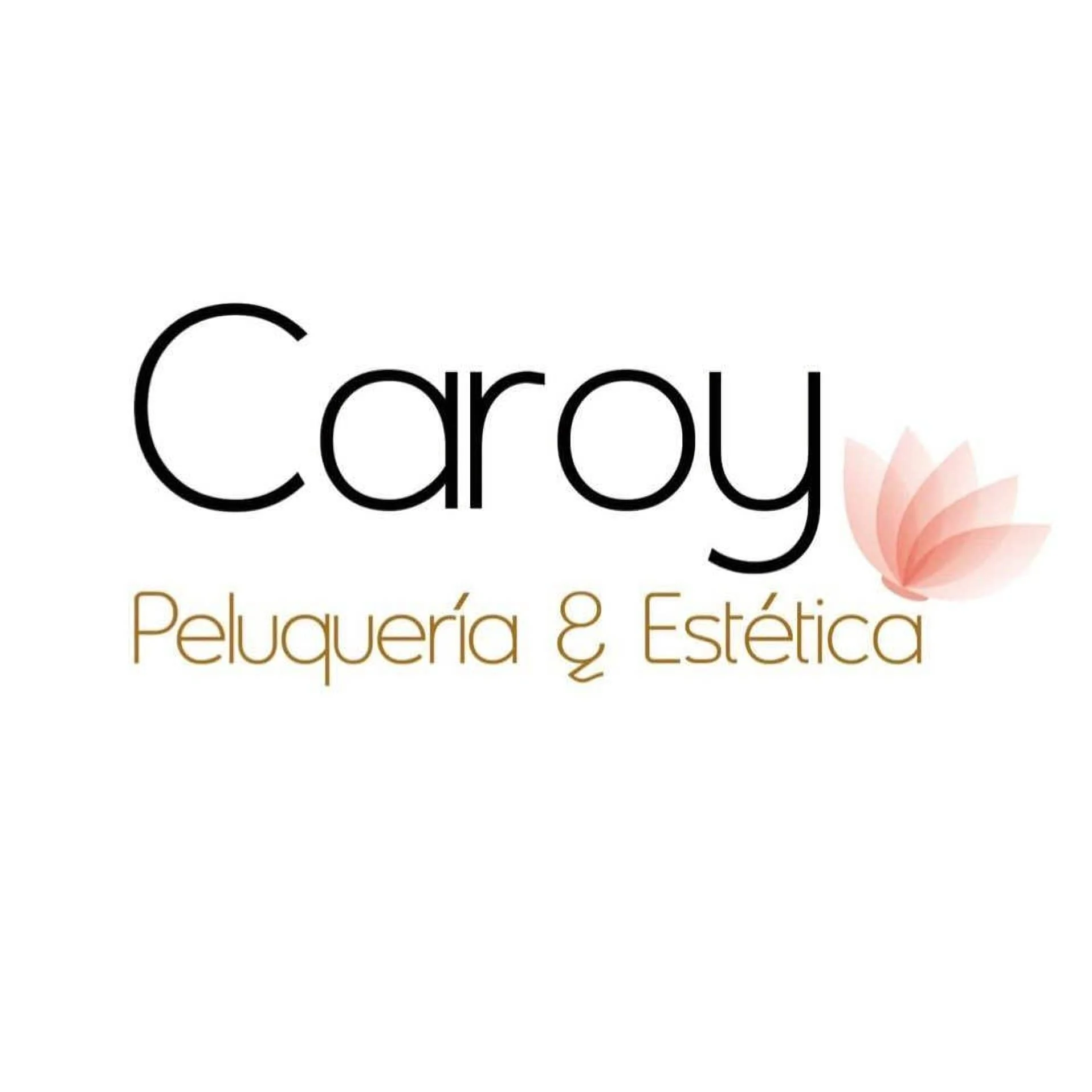 Caroy Peluqueria y Estetica-1754