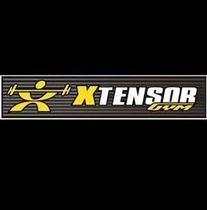 Gimnasio-xtensor-gym-11527