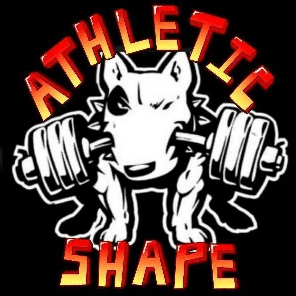Gimnasio Athletic shape-2675