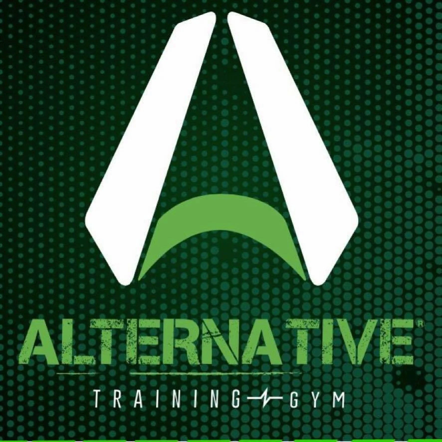 Alternative Training Gym-2438