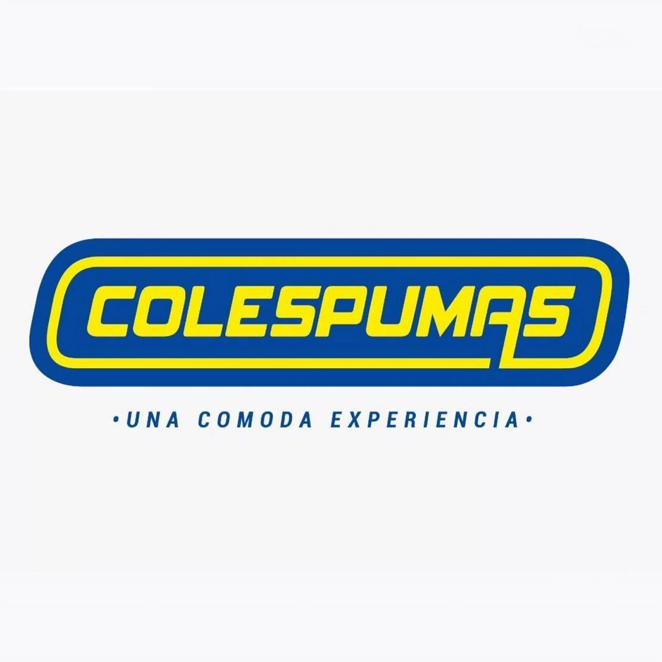 Colchones-colespumas-boyaca-15730