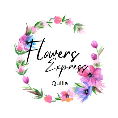 Dflowers Express Quilla-5725