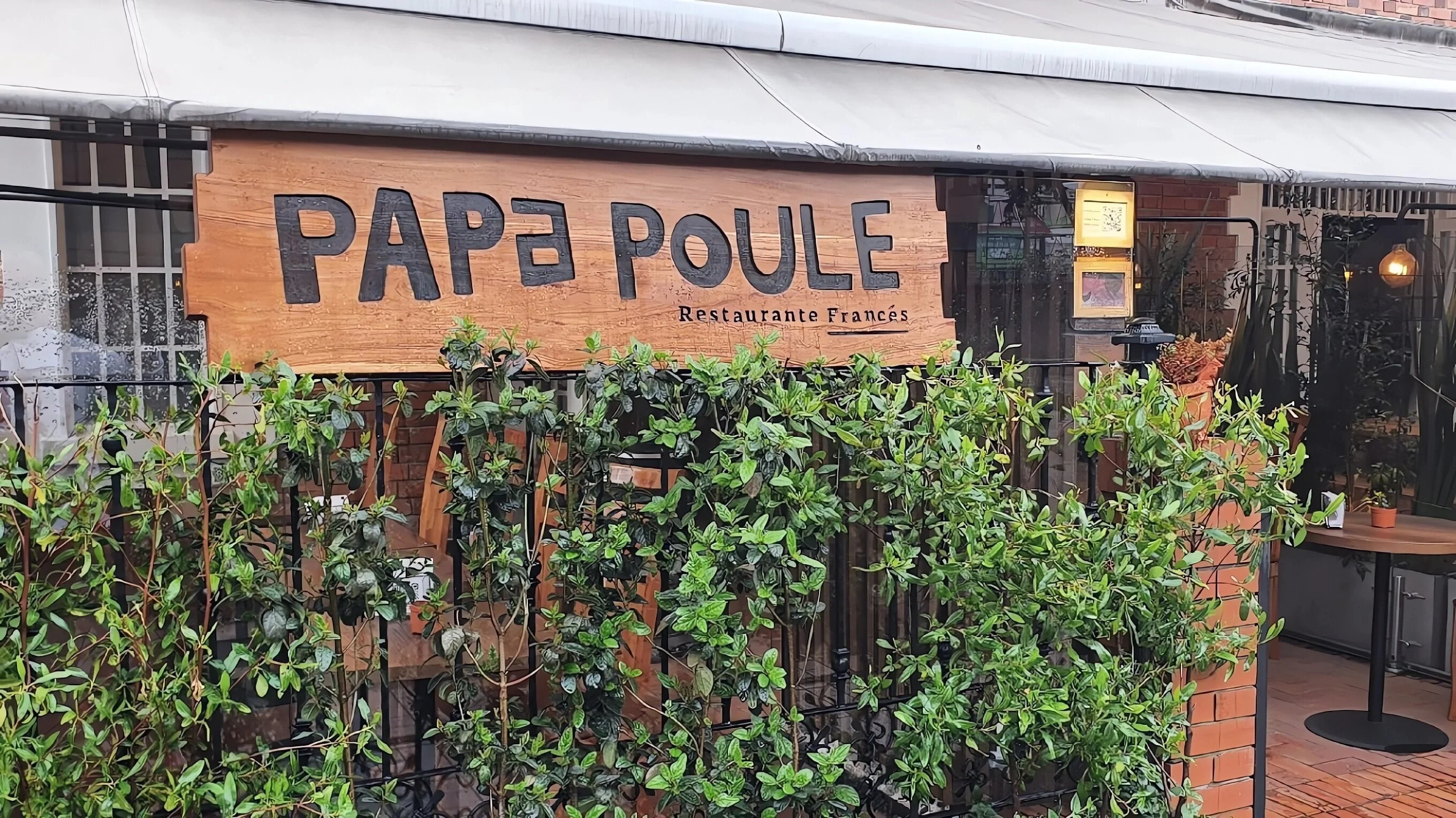 Papa Poule-5990