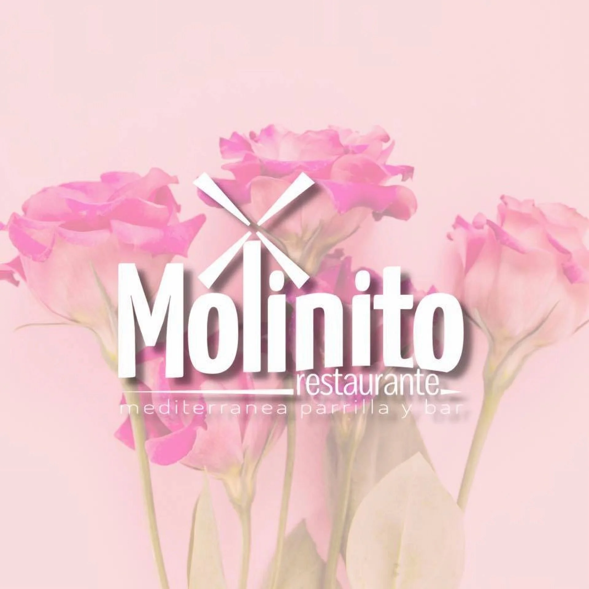 Molinito Restaurante-6704