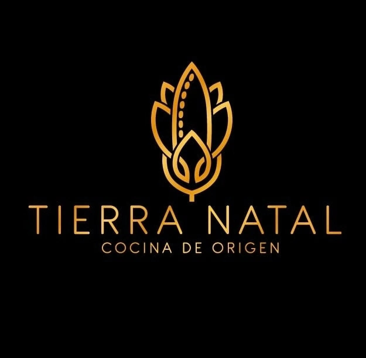 Tierra Natal Cocina de origen-7466