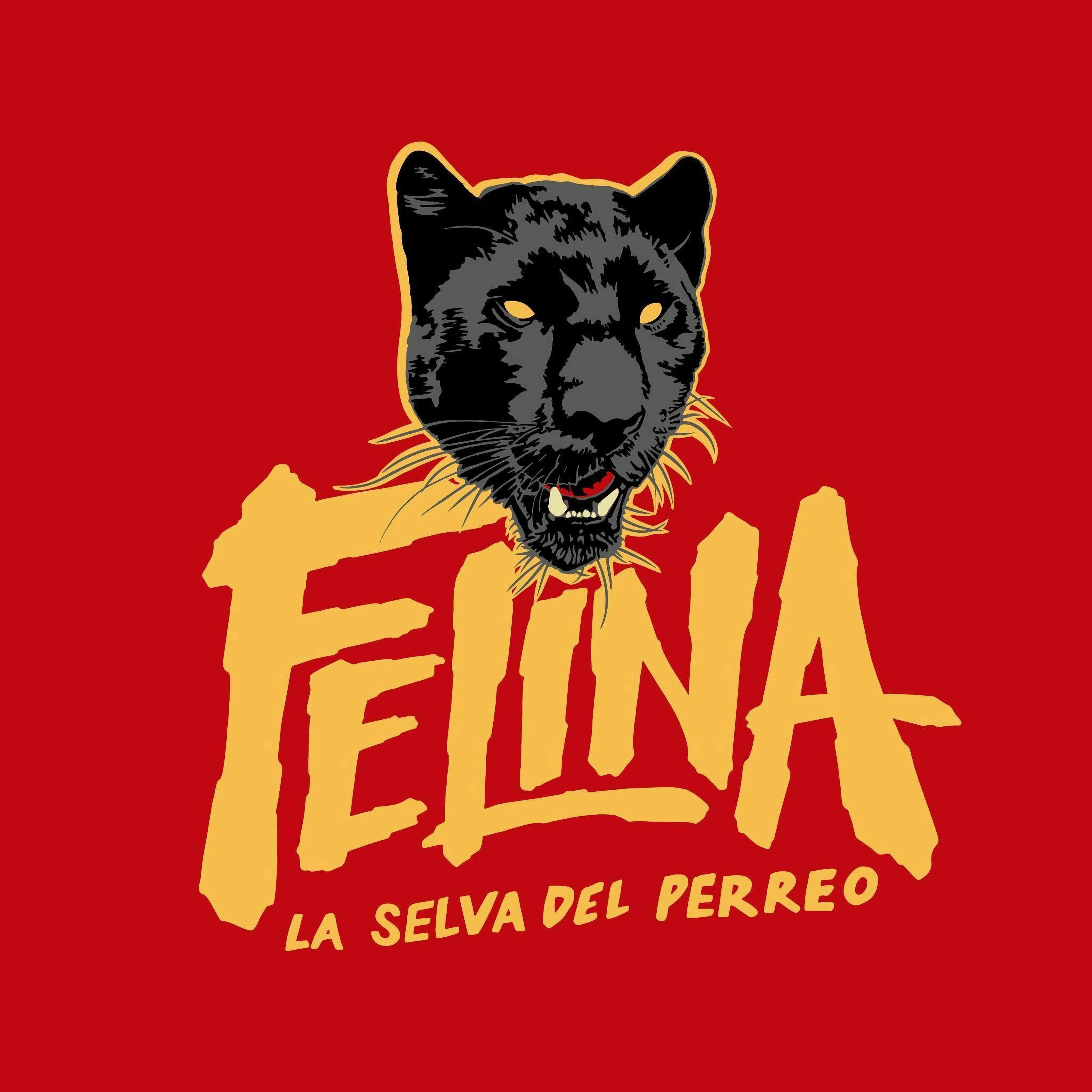 Bar-felina-bar-reggaeton-bogota-30478