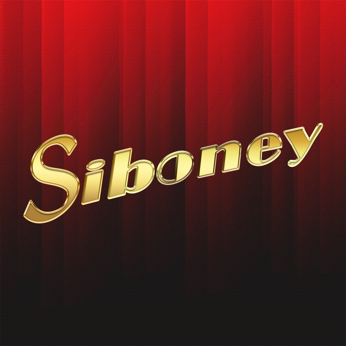 Siboney Club-Discoteca-10004