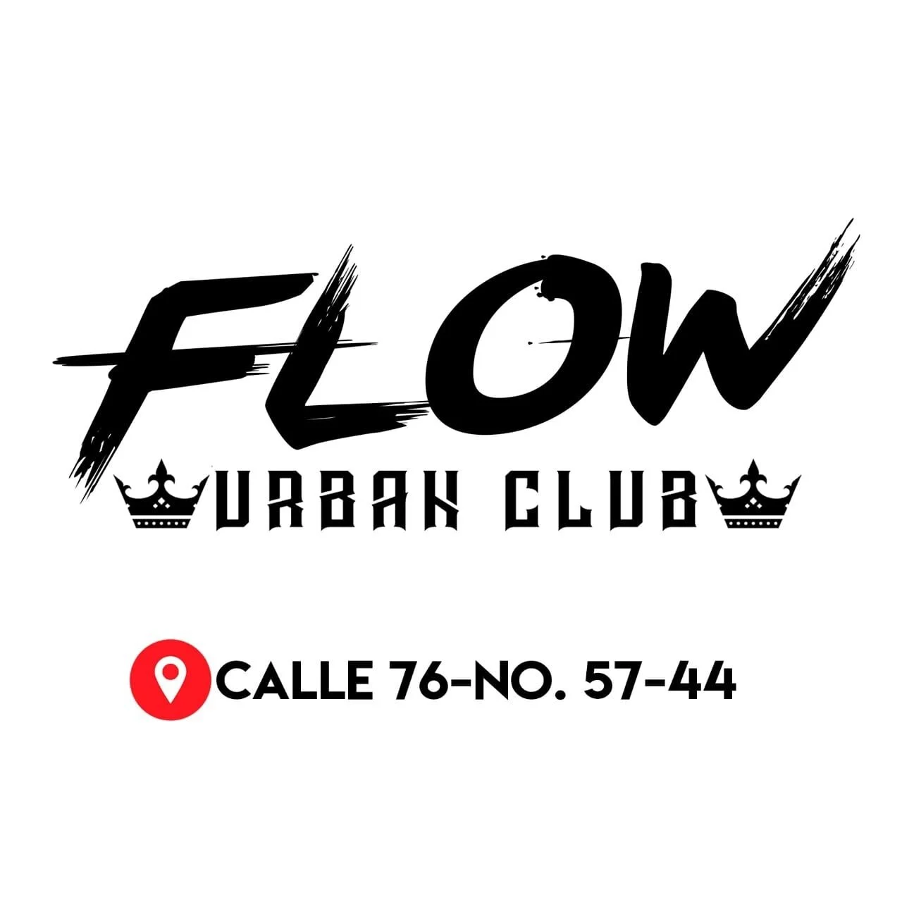 Flow La Discoteca-10086
