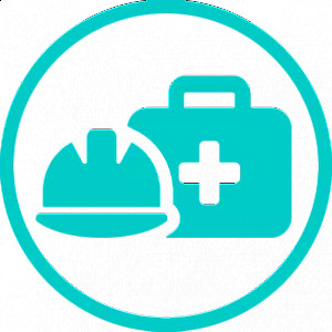 Seguridad y Salud Ocupacional