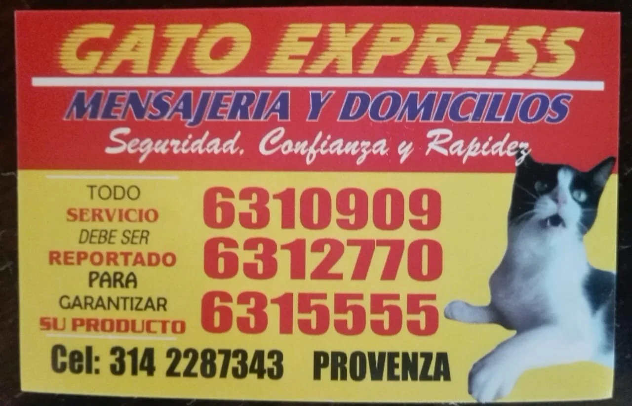 Gato Express Mensajeria-10979