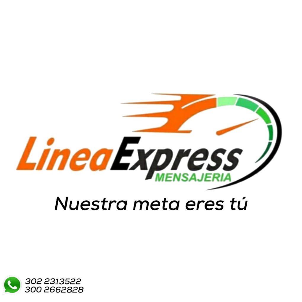 Linea Express Mensajeria-11435