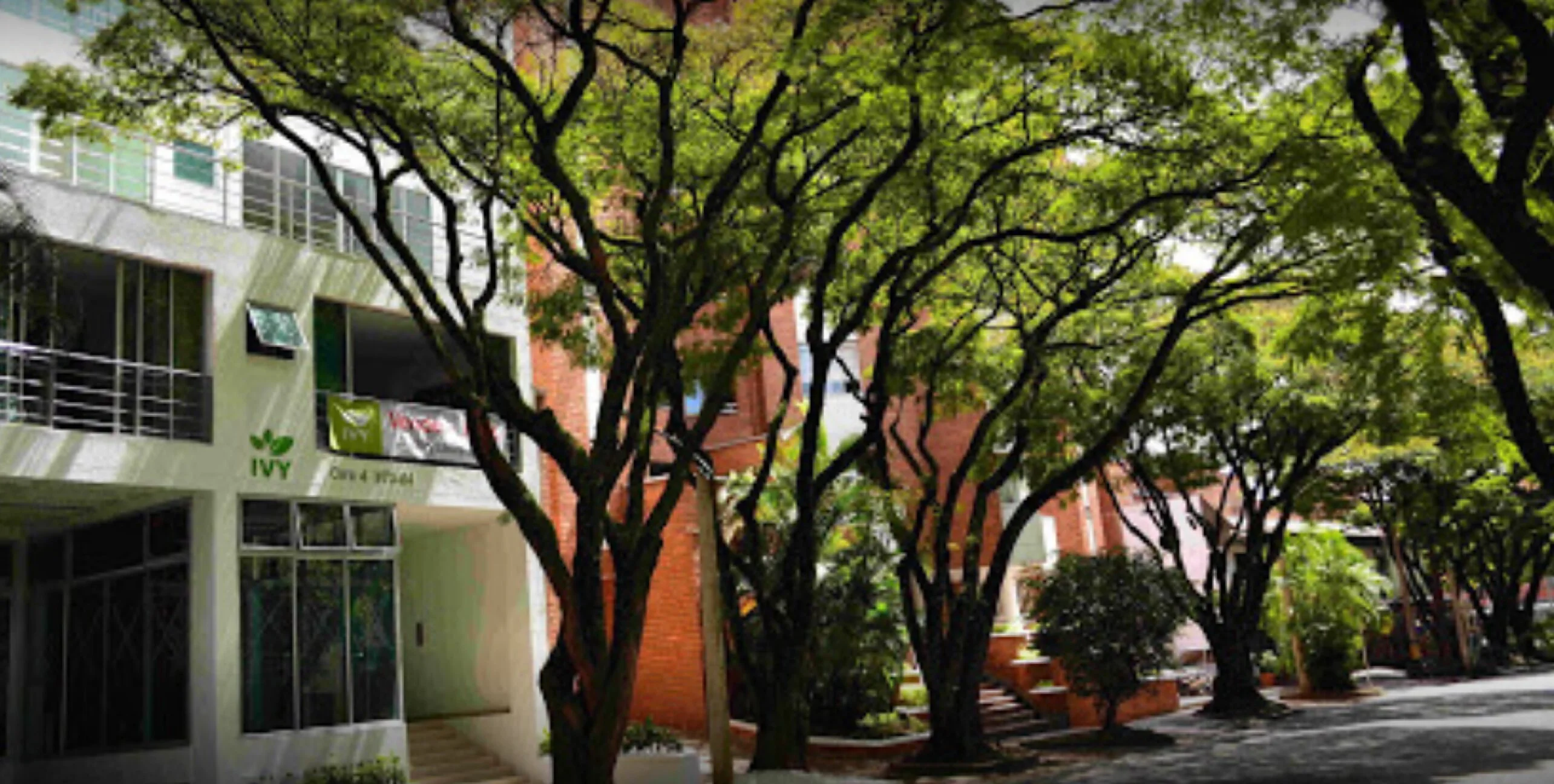 Ivy Laureles - Furnished Apartment Rentals & Wellness Center-210