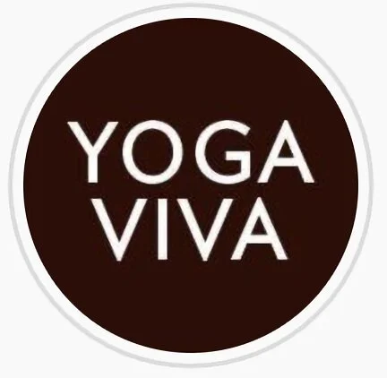 Yoga-yoga-viva-5202