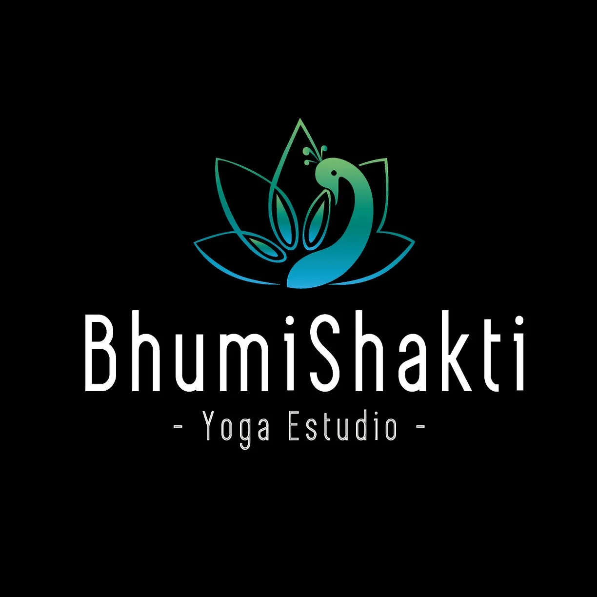 Yoga-academia-de-yoga-bhumishakti-yoga-estudio-5205