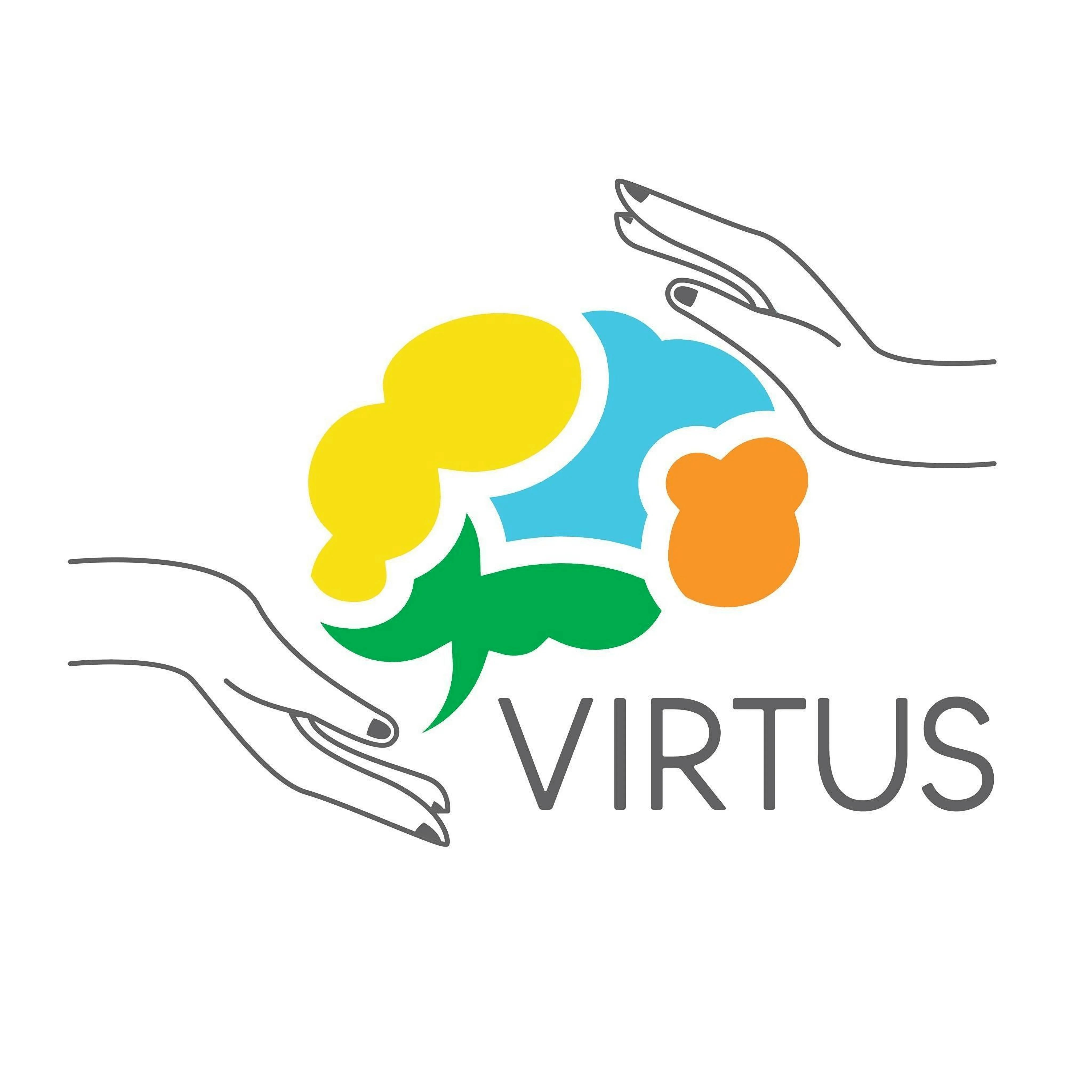 Terapia Fisica-virtus-ips-6361