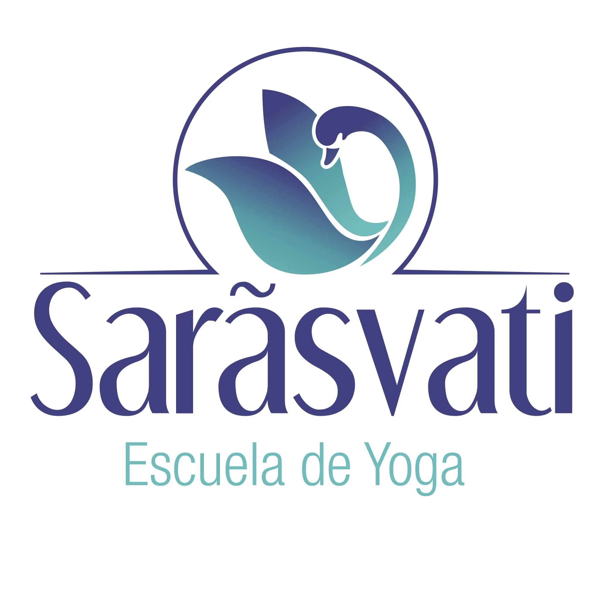 Sarasvati Escuela de Yoga-482