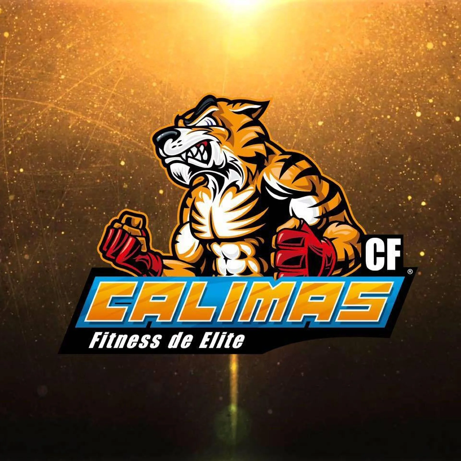 Calimas CF-830