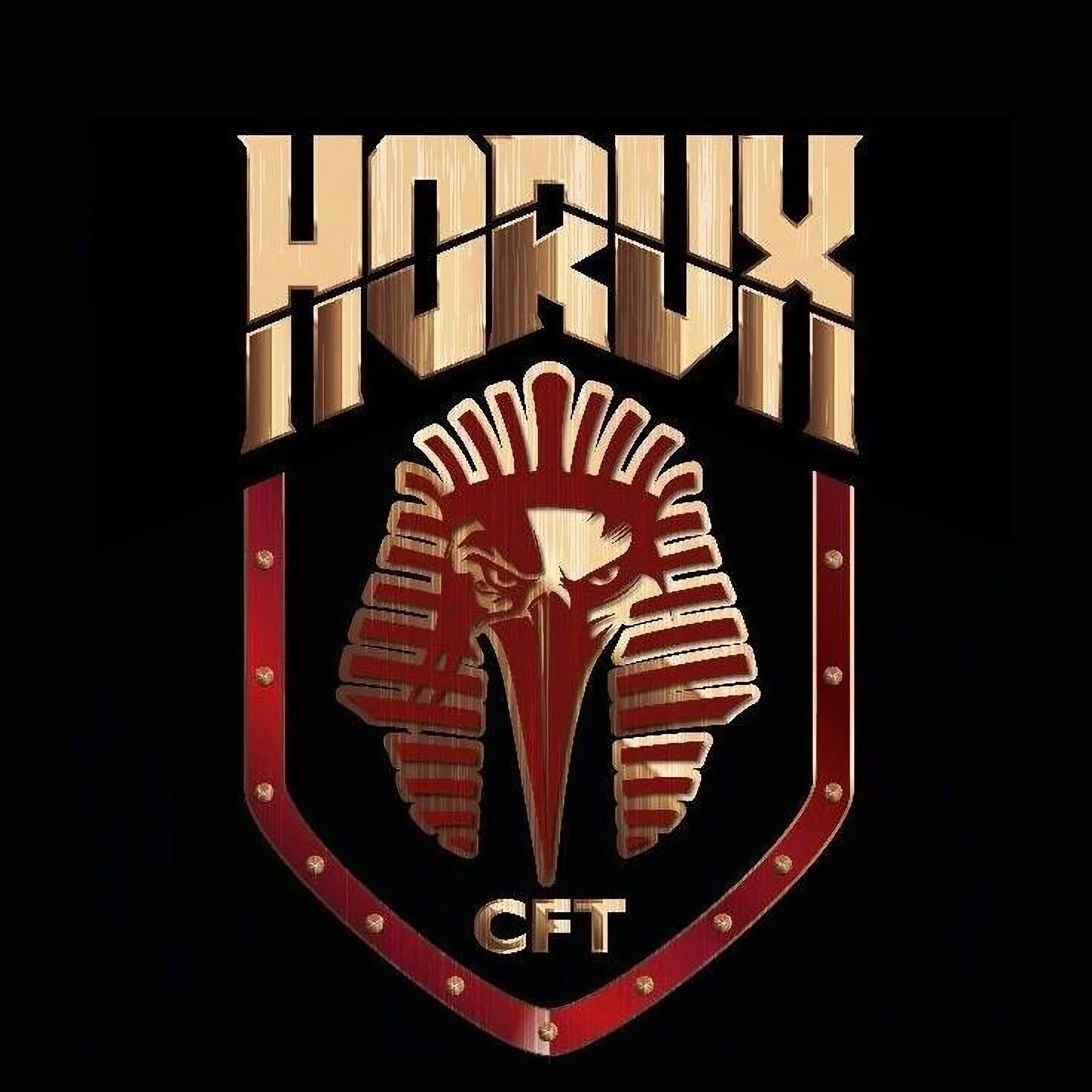 Horux Cross Fitness Training-840