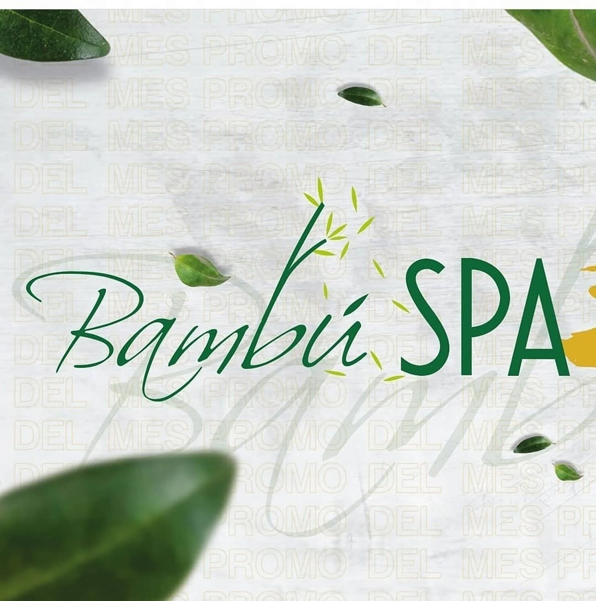 Spa-bambu-spa-8212