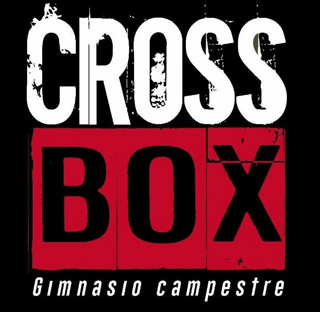 CROSS BOX Gimnasio Campestre-1679