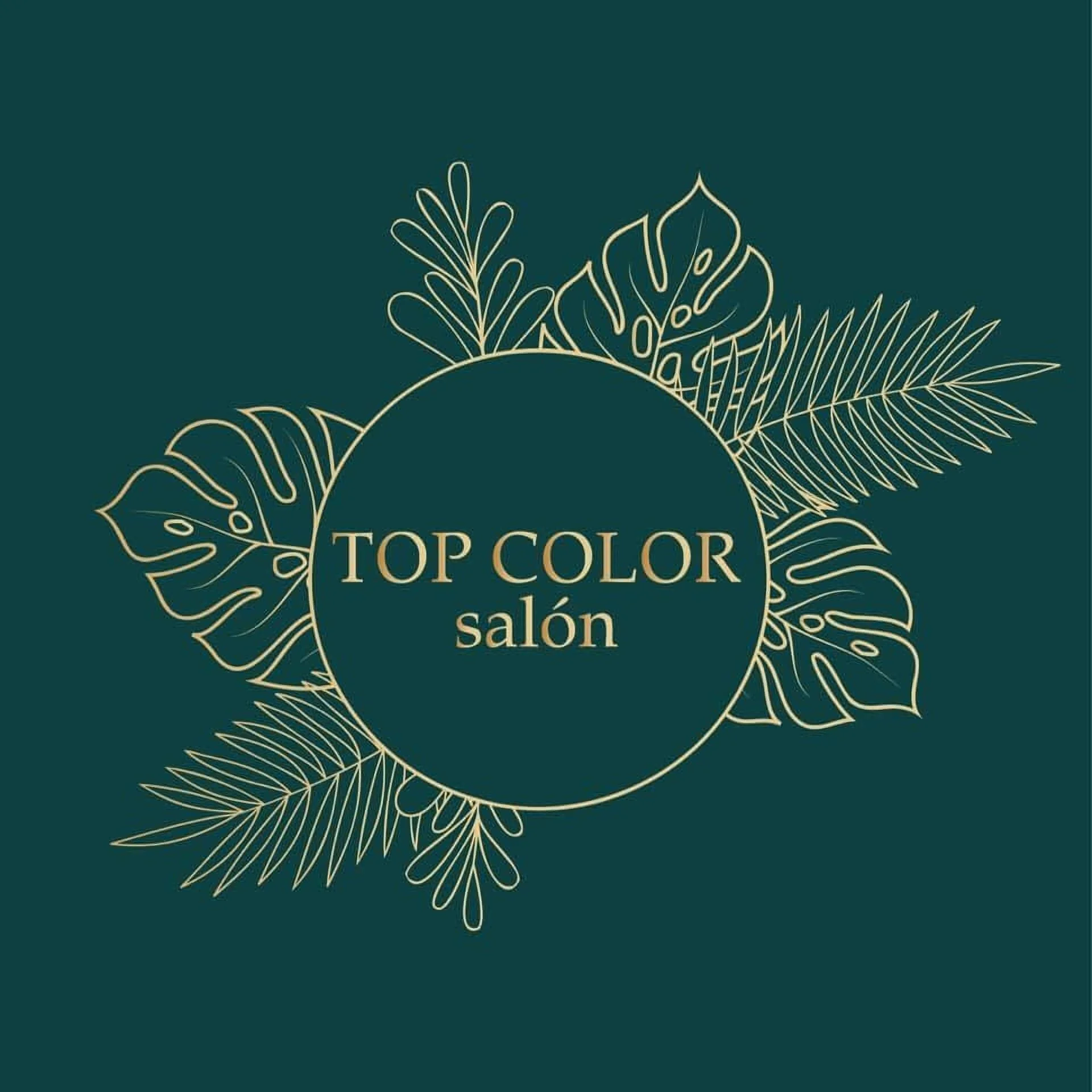 TOP COLOR SALÓN-1258