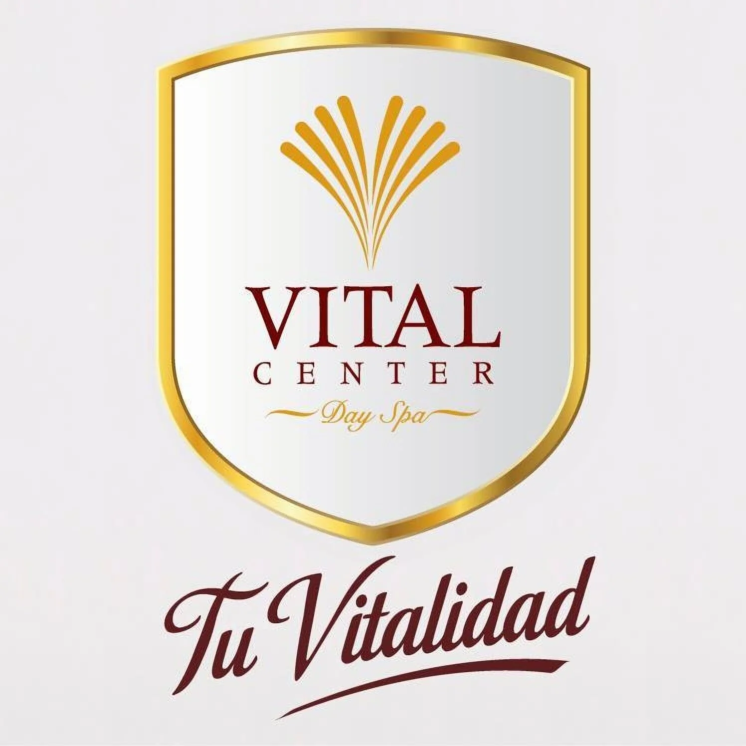 Vital Center Day Spa-1267