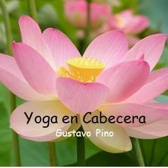 Yoga en Cabecera-1296