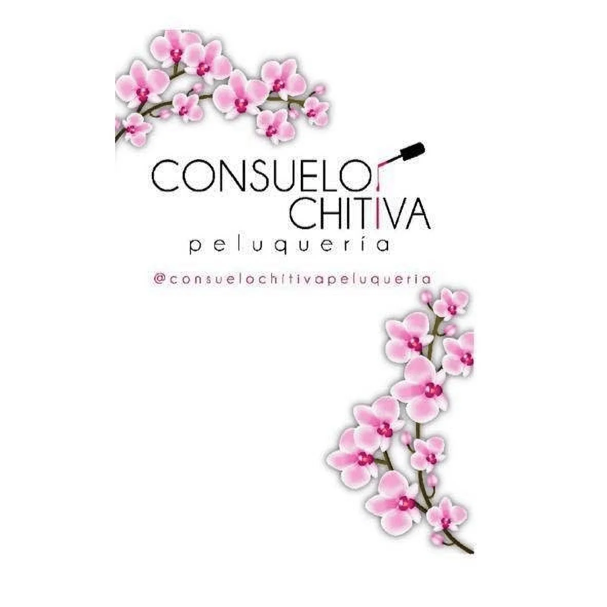 Peluqueria Consuelo Chitiva-1413